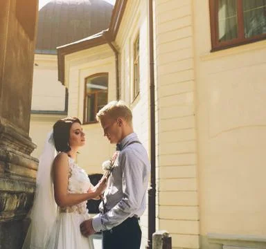 The bride and groom posing Stock Photos