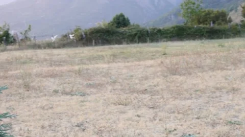 The bride and groom posing on the sunset Stock Footage 58146461