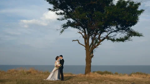 The bride and groom sit on the sand on the beach Stock Footage 101233703
