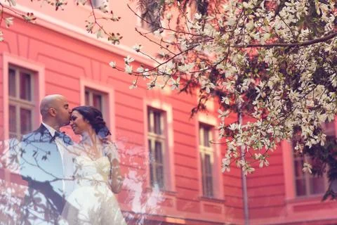 Bride and groom in springtime; Stock Photos