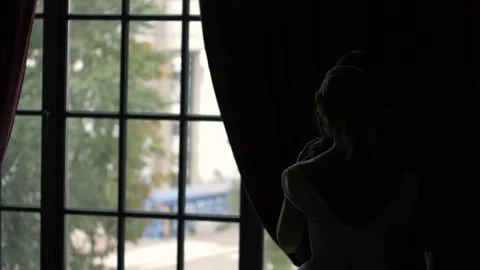 Bride and groom stand by the window, beautiful outline with silhouettes Stock Footage 161867860