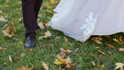 The bride and groom strolling through the autumn forest. View from top of legs Stock-Footage 102128675