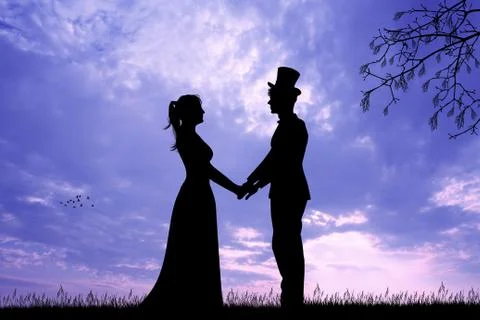 Bride and Groom at sunset Stock Illustration