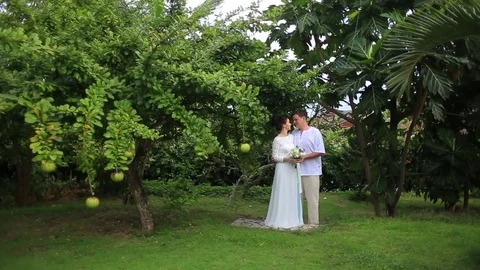 The bride and groom surrounded by palm trees looking into the distance Stock Footage 76180351