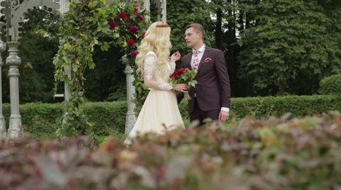 A bride and groom talking Stock Footage 68011522
