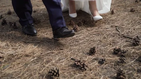 Bride and groom walk through the pine forest Stock Footage 172192521