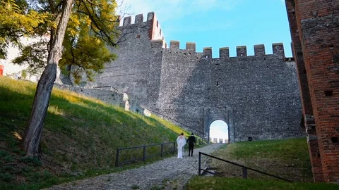 Bride and groom walking before old castle on sunset. Stock Footage 100233459