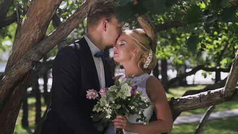 The bride and groom walking in the Park in the summer. kiss and hug 動画素材 81544530