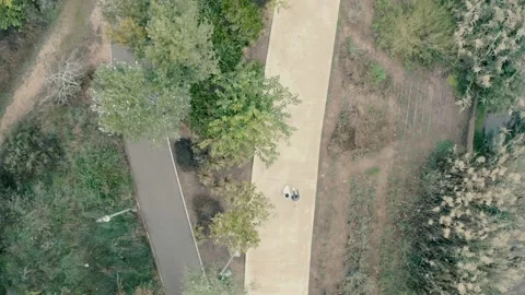 Bride and groom walking on the path in the park Stock Footage 221413721