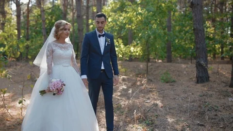 Bride and groom walking in the pine wood Stock Footage 73517506