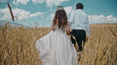 Bride and groom walking through the wheat field on their wedding day Stock Footage 237805182