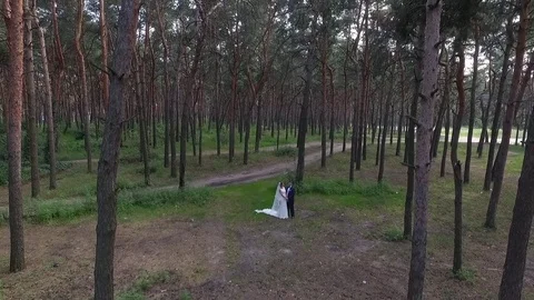 The bride and groom in the woods Stock Footage 75617411