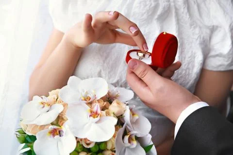 Bride and groom's hands with wedding rings Stock Photos