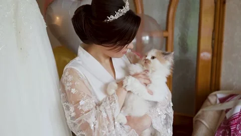 Bride and wedding white cat kitten in her hands Stock Footage 232950059