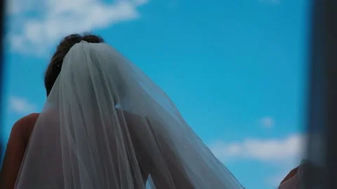 Bride back sky with birds. Stock Footage 156834087