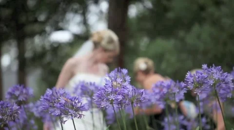 Bride Behind Flowers HD Video stock 3677356