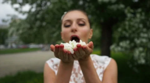 Bride blows off the hands apple tree petals Stock Footage 61783326