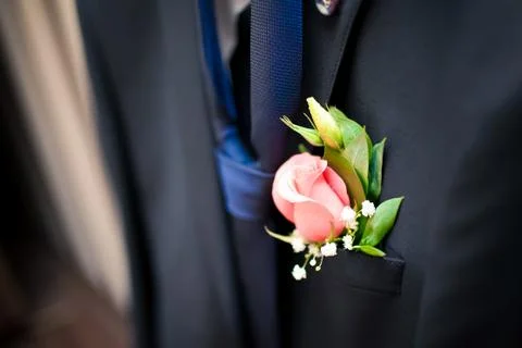 Bride in a blue suit Stock Photos