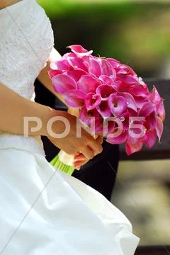 Bride with bouquet Stock Photos
