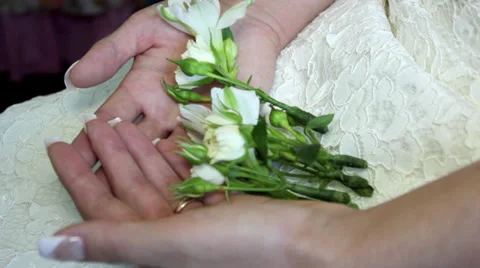 Bride, bride Stock Footage 28999125