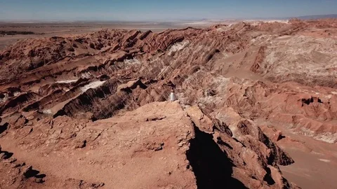 Bride contemplating nature Stock Footage 84338223