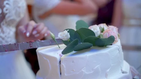 The bride cuts the wedding cake close-up. Stock Footage 106748402