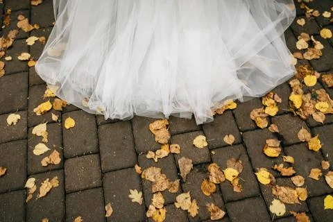 Bride dress on autumn leaves Stock Photos