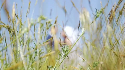 Bride in a field with grass Stock Footage 54273788