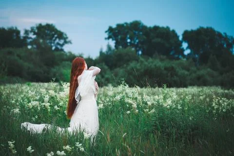 Bride in the field Stock Photos
