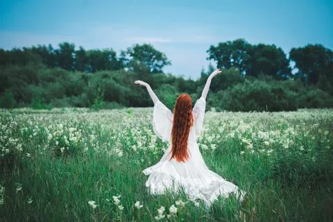 Bride in the field Stock Photos