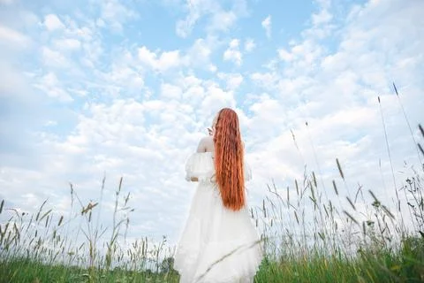 Bride in the field Stock Photos