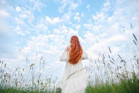 Bride in the field Stock Photos