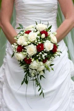 Bride with flowers Stock Photos
