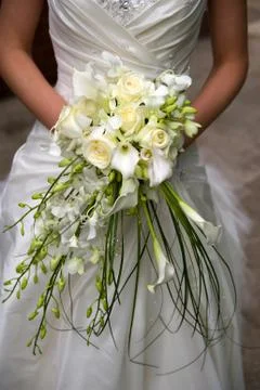 Bride with flowers Stock Photos