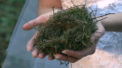 Bride Video stock 4281966