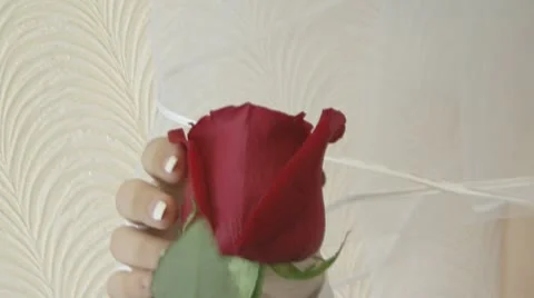 Bride Stock Footage 8984307