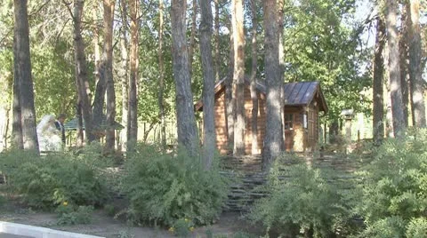 Bride Stock Footage 8984471