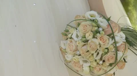 Bride Stock Footage 8984626