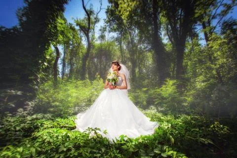Bride in forest Stock Photos