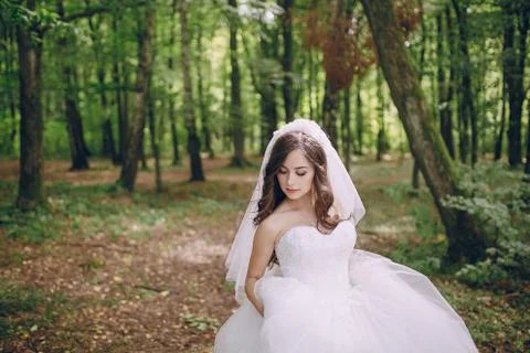 Bride in the forest Stock Photos