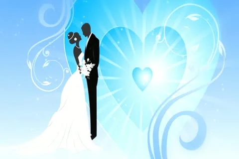 Bride &amp; Groom Background 02 Widescreen Stock Footage 10874887