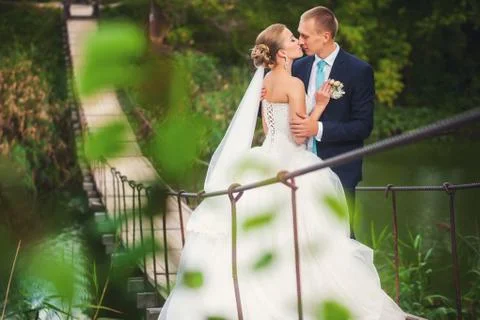 Bride with groom on the bridge in forest Stock Photos