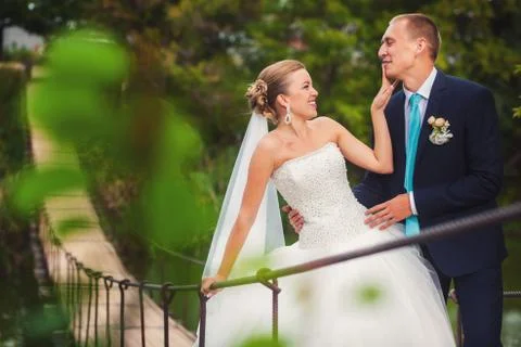 Bride with groom on the bridge in forest Stock Photos