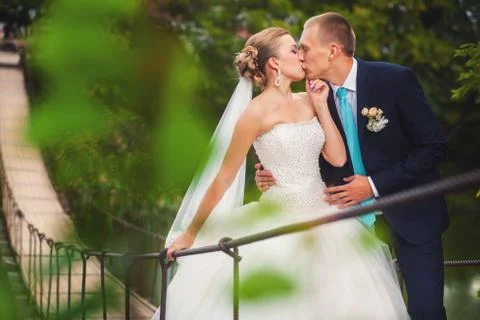 Bride with groom on the bridge in forest Stock Photos