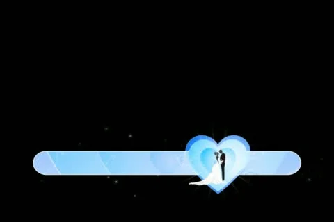 Bride &amp; Groom Lower Third Stock Footage 10873688