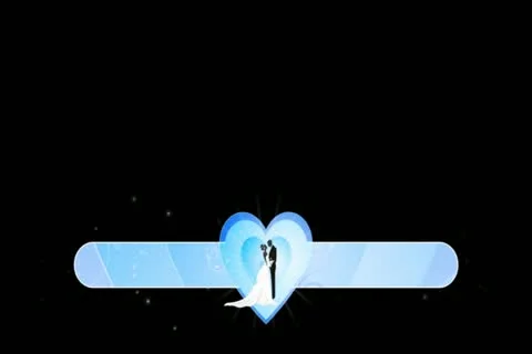 Bride &amp; Groom Lower Third Widescreen Stock Footage 10874888