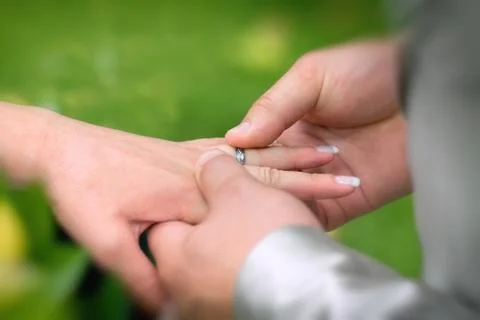 Bride groom puts the ring Stock Photos