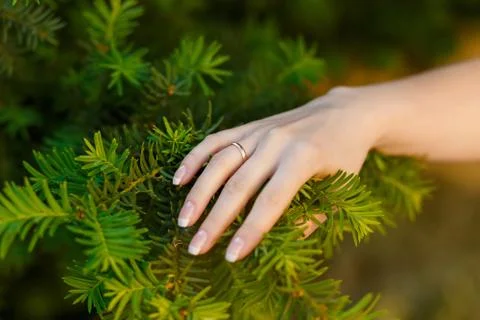 Bride hand with ring on finger 写真素材