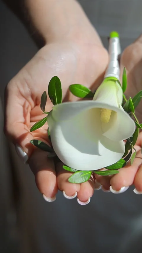 Bride holding a single white flower in her hands. A close-up shot of the bride's Stock Footage 308163601