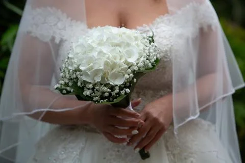 Bride holding white hydrangea wedding bouquet 스톡 사진